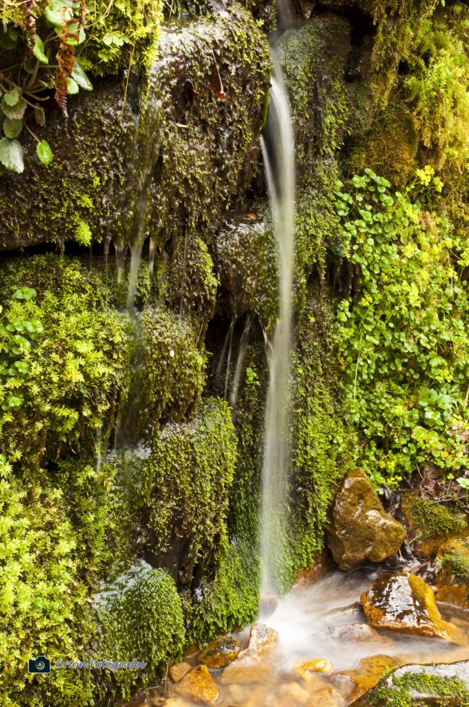 Chorro de agua