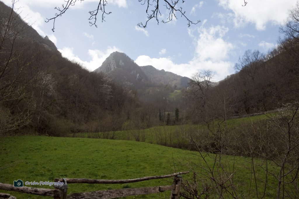 Paisaje en penumbra