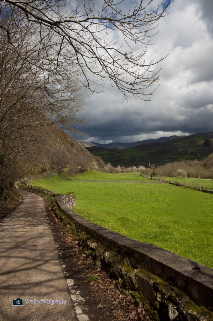 Ruta del Alba, Redes