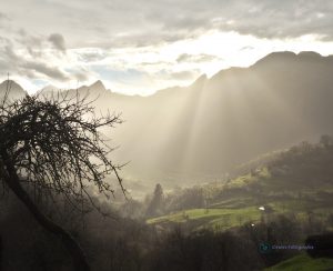 Sol del atardecer en Redes