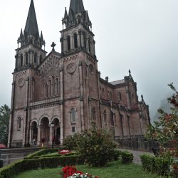 Flores y Basílica