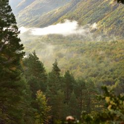 Valle de Pineta