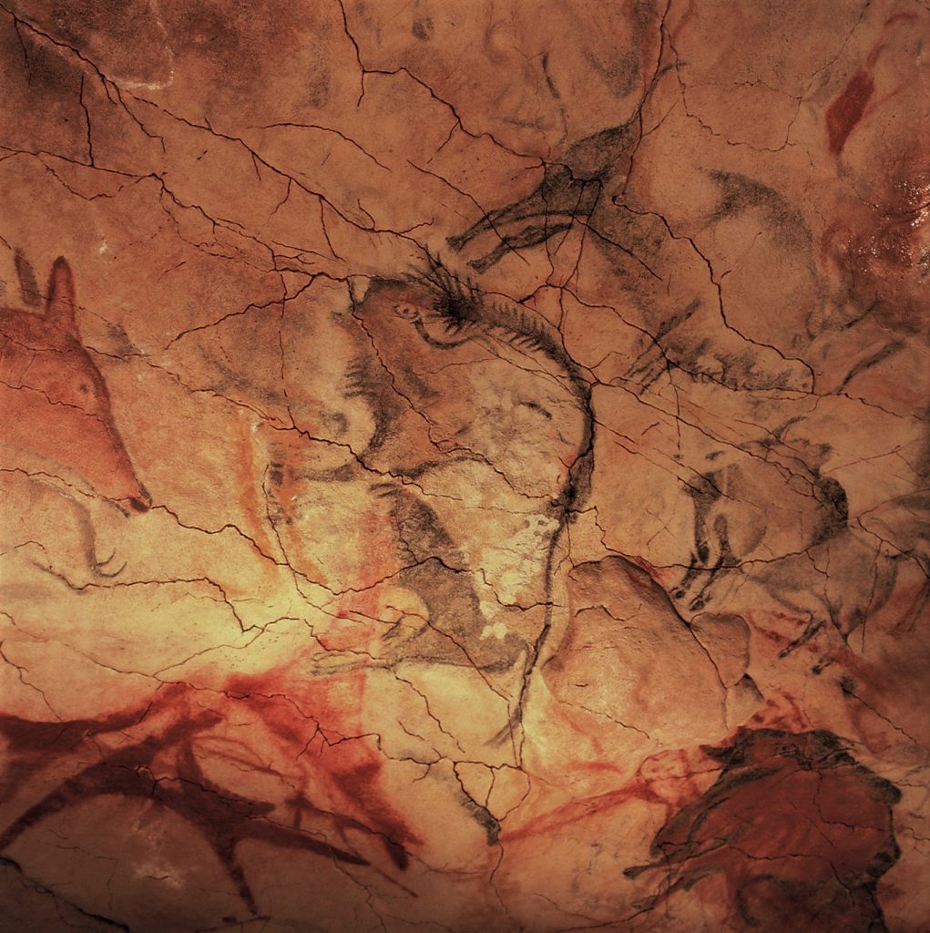 Bisontes arte rupestre