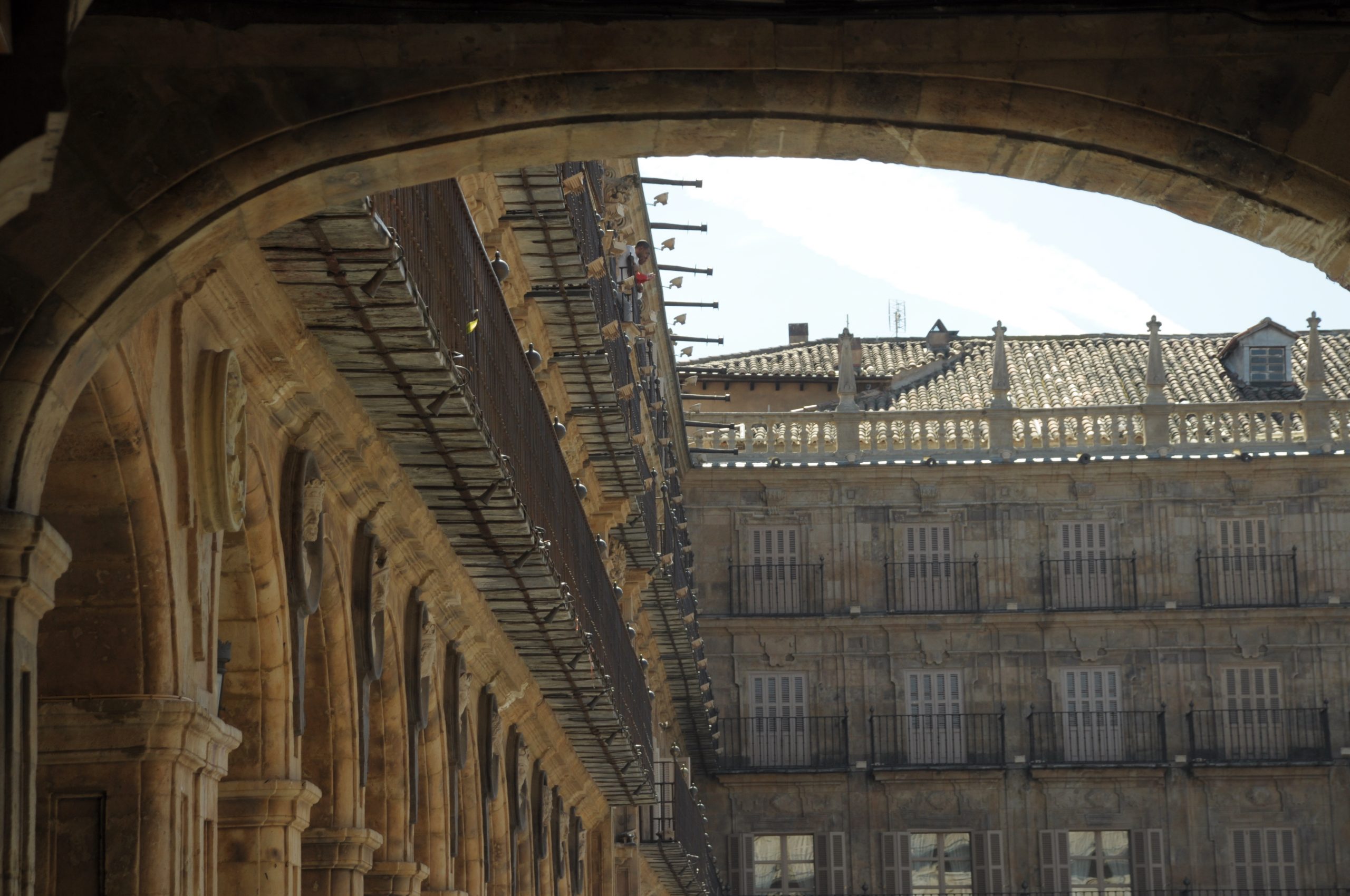 Detalle de la plaza Mayor de Salamanca