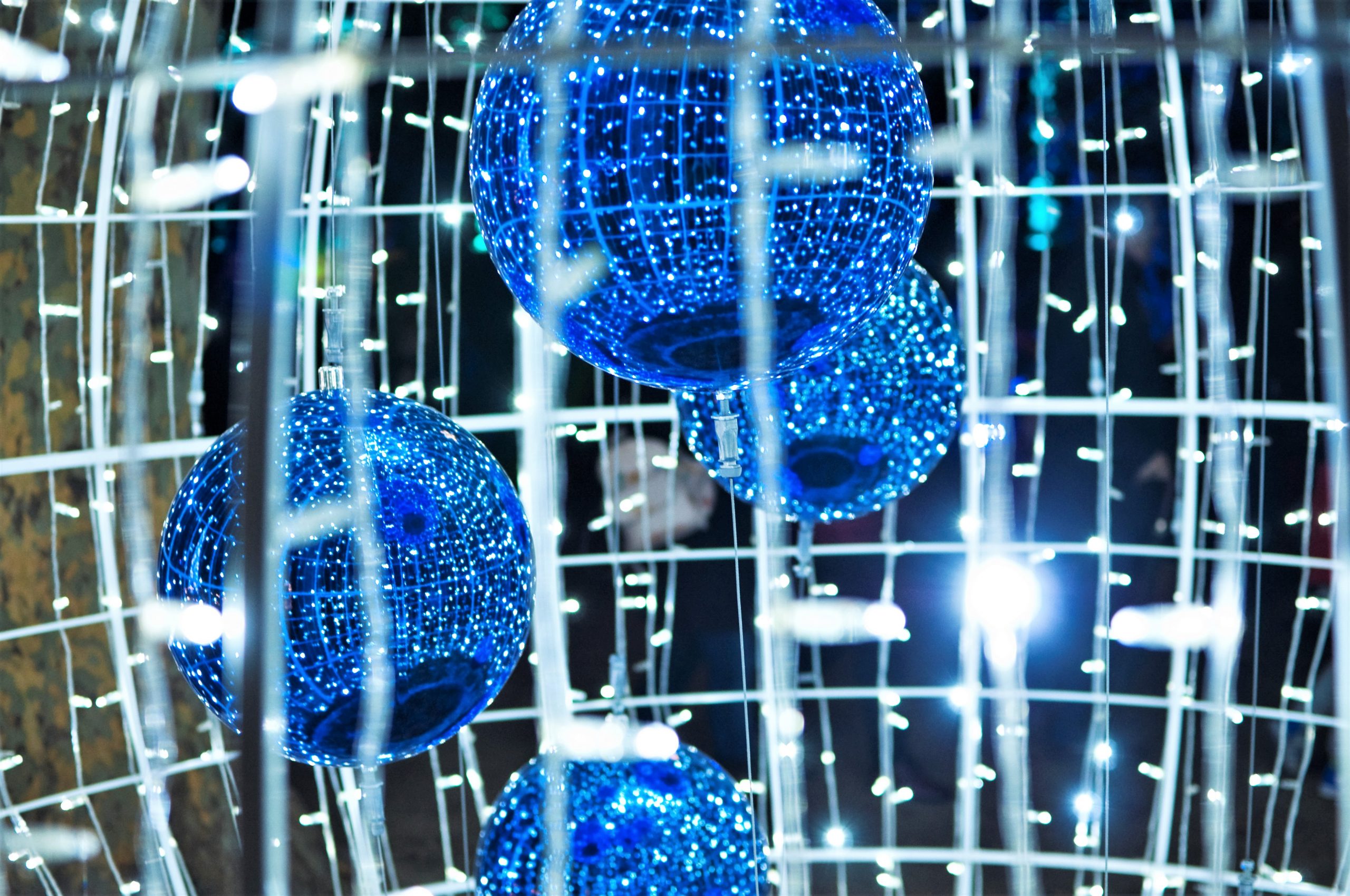 Adorno navideño en Jardín Botánico